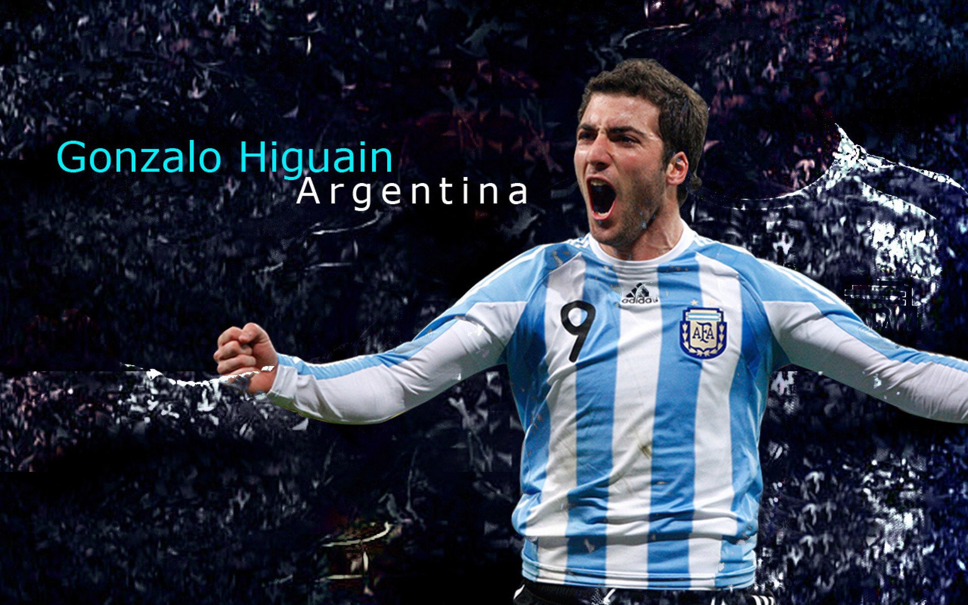 开云官网APP下载-训练方式多样化适应不同运动需求，训练适应的特性包括