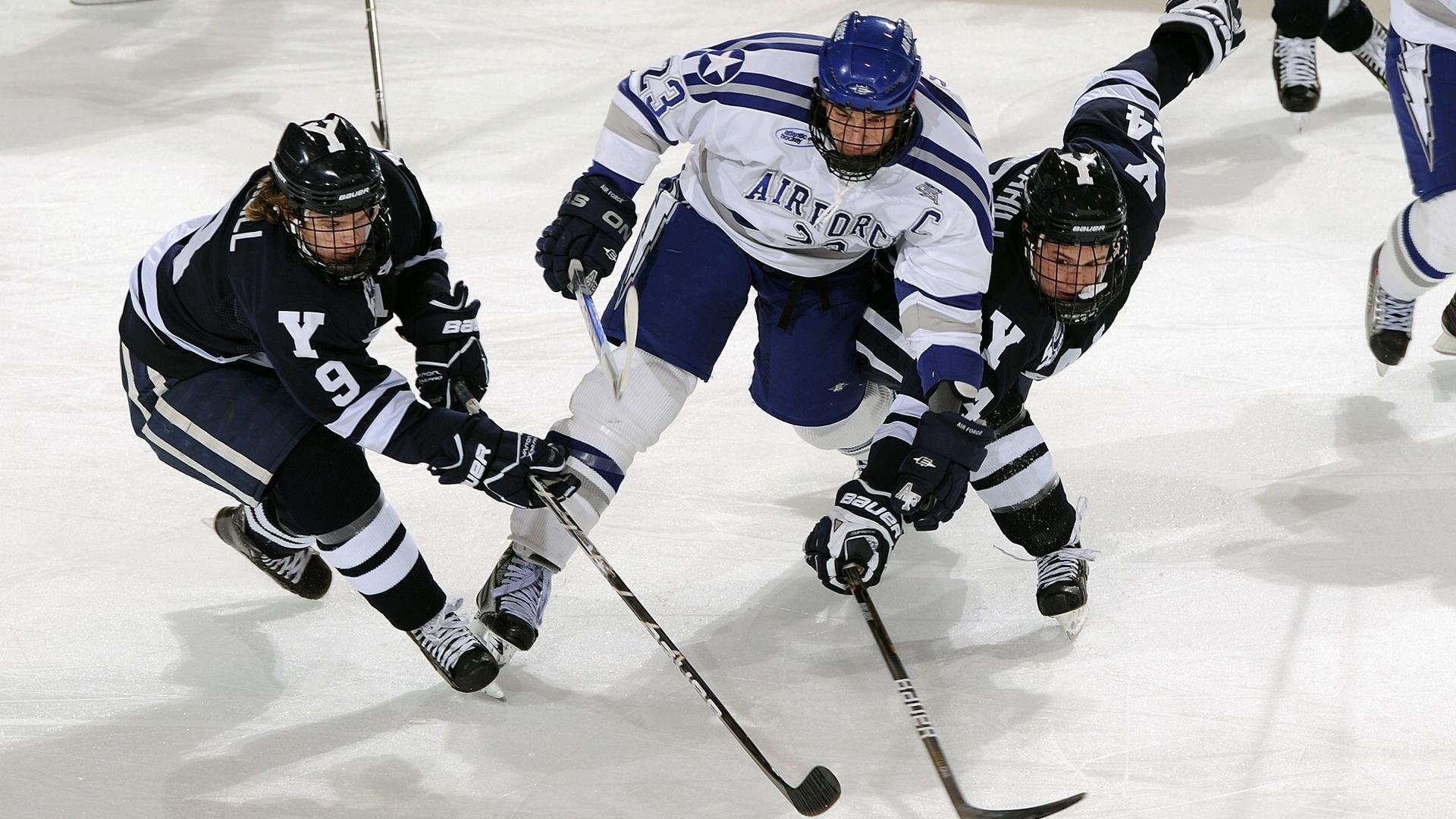 _鹈鹕队士气高扬,继续稳步前进_,鹈鹕队改名前是哪个队